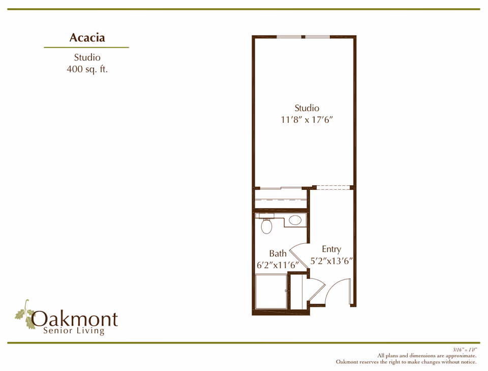 Floor plan of a studio apartment named Acacia at Oakmont Senior Living, showing a studio room measuring 11 feet 8 inches by 17 feet 6 inches, a bathroom measuring 6 feet 2 inches by 11 feet 6 inches, and an entry area measuring 5 feet 2 inches by 13 feet 6 inches.