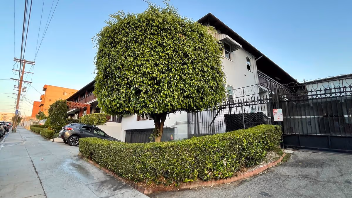 Street-side view of a multi-story residential building with a trimmed tree and hedge, gated entrance, and parked cars along the sidewalk.