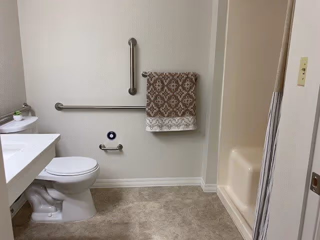 A clean and accessible bathroom featuring a white toilet, a white countertop with a small plant, a wall-mounted grab bar, a towel rack with a patterned brown and white towel, and a shower with a beige curtain.