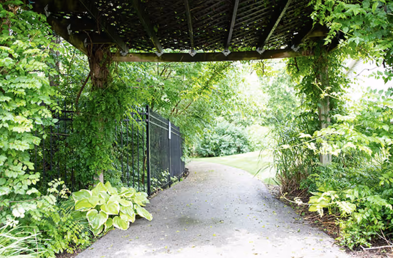 A shaded garden pathway with a wooden pergola overhead covered in green vines. The path curves gently to the right, surrounded by lush green plants and trees, with a black metal fence on the left side.