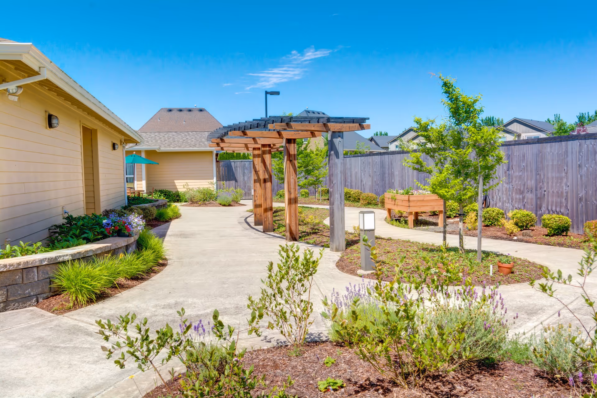 Outdoor garden area at Arbor Oaks Terrace Memory Care Residence featuring a concrete walkway, wooden pergola, raised garden beds, small trees, and various plants under a clear blue sky.