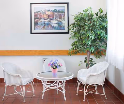 Indoor seating area with three white wicker chairs around a glass table and plant