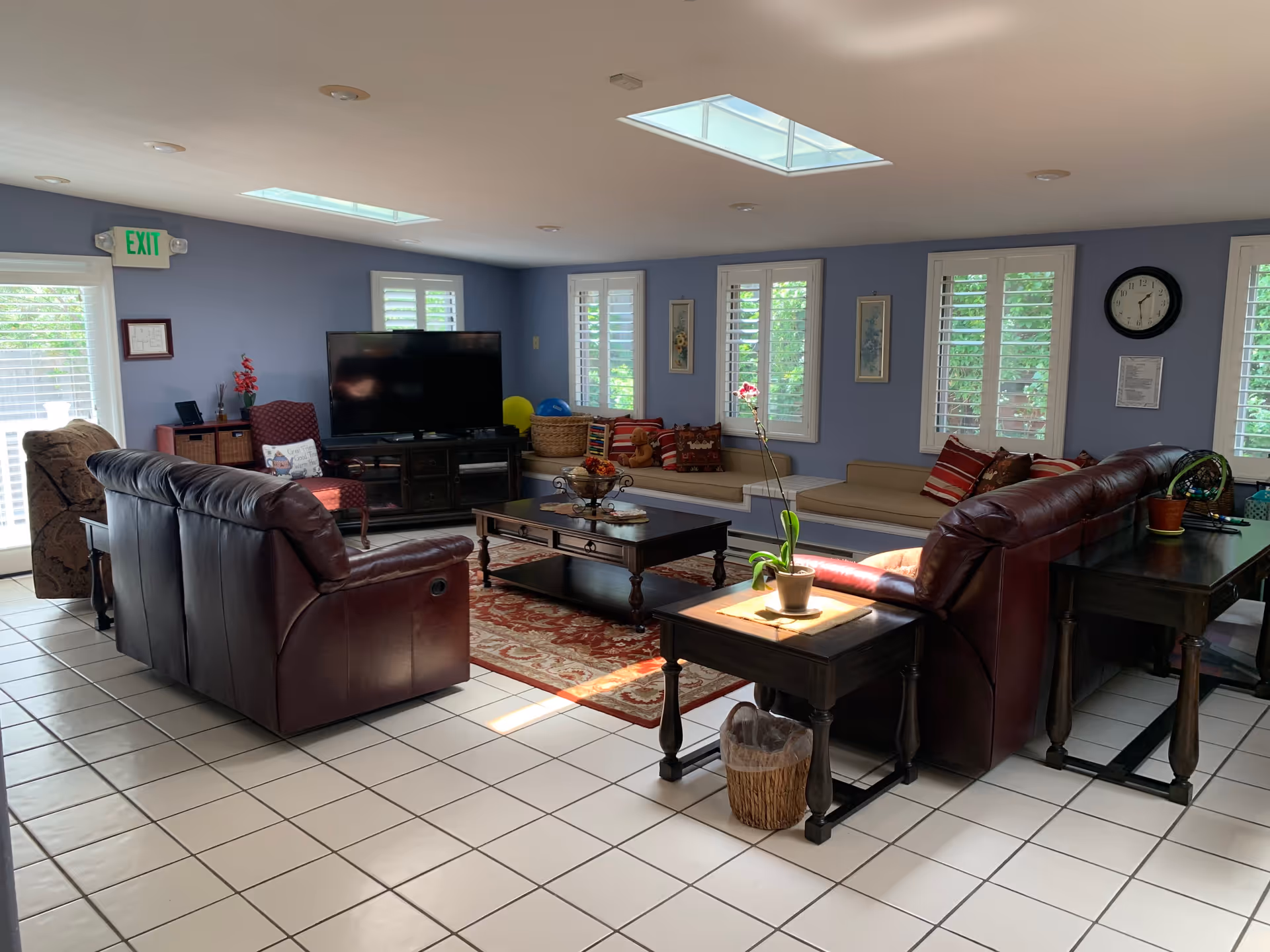 A cozy living room with two dark brown leather sofas arranged around a wooden coffee table on a red patterned rug. The room has light blue walls with several windows featuring white shutters, allowing natural light to brighten the space. There is a large flat-screen TV on a dark wooden stand, a red patterned armchair, and built-in bench seating with cushions along the wall. A small side table with a potted plant and a wastebasket is next to one sofa. The ceiling has recessed lighting and skylights.