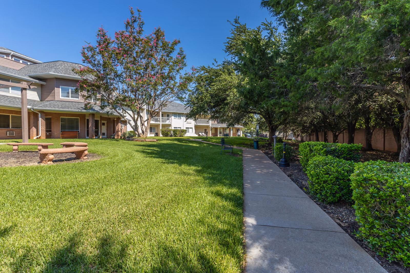 A sunny outdoor area at a senior living facility with a concrete walkway bordered by green bushes and trees on the right, and a grassy lawn with benches and a flowering tree on the left. Residential buildings with covered porches are visible in the background under a clear blue sky.