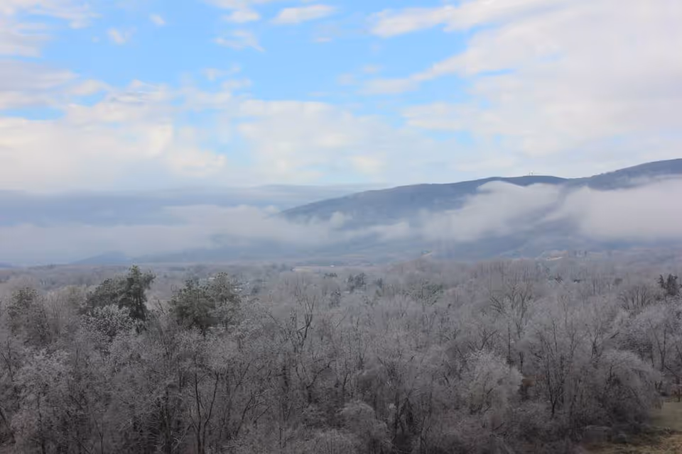 A scenic view of a forested area with trees covered in frost or snow, with mist or low clouds hovering over the landscape and a mountain range in the background under a partly cloudy sky.