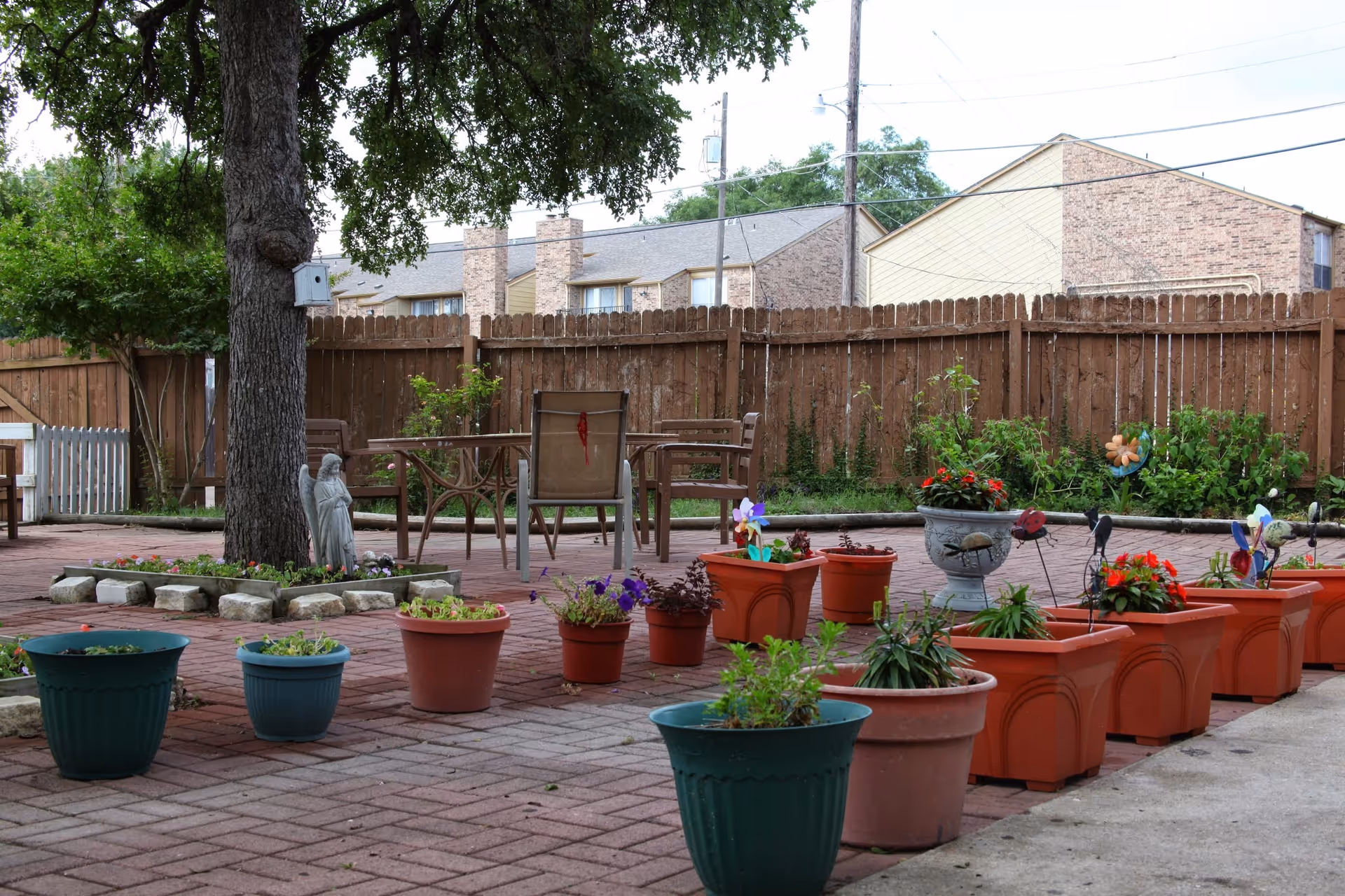 Outdoor patio area with multiple potted plants arranged on a brick-paved surface. There is a large tree with a birdhouse attached to it, a small statue near the tree, and several chairs and tables in the background. A wooden fence and residential buildings are visible beyond the patio.