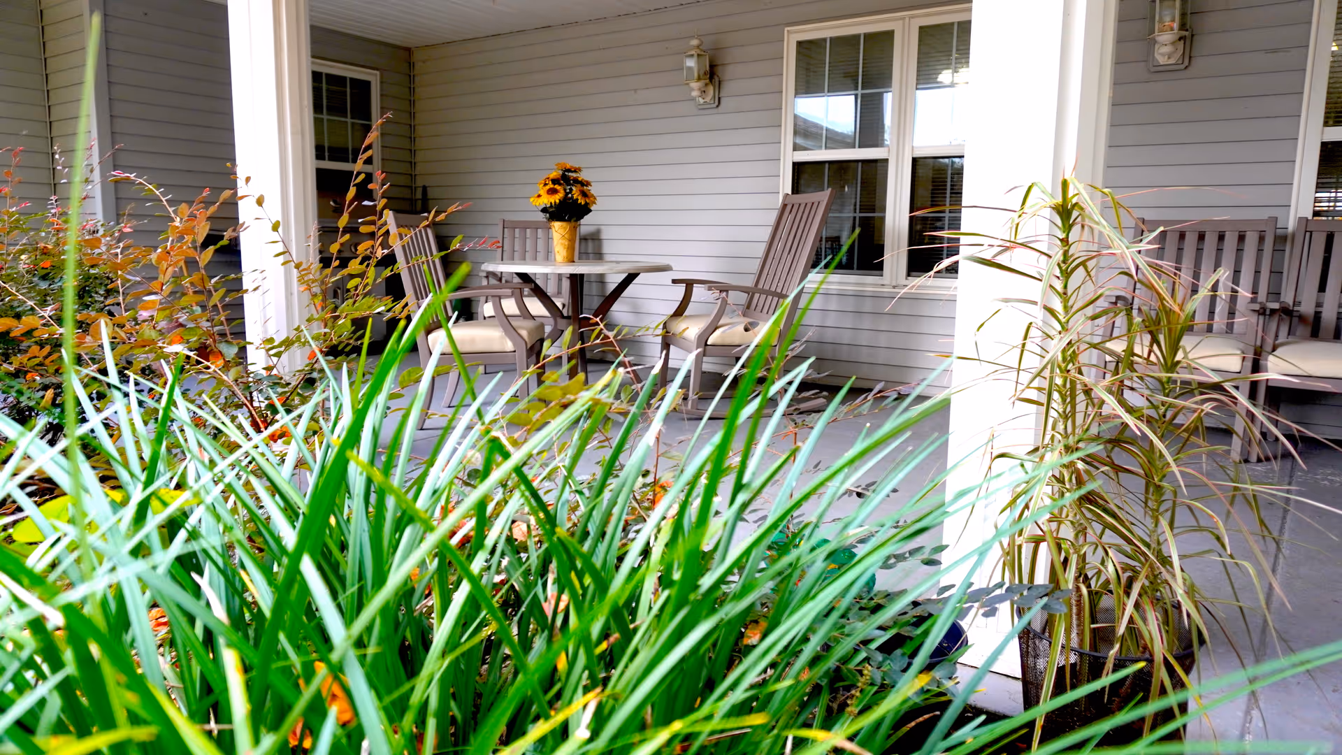 Covered porch with a round table, wooden chairs, potted plants, and green foliage in the foreground.