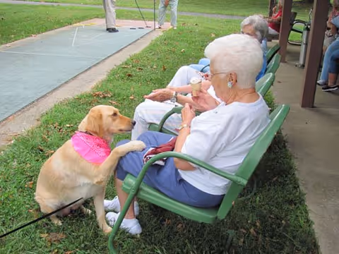 An elderly woman sitting on a green metal bench outdoors, holding an ice cream cone while a golden retriever wearing a pink bandana places its front paws on her lap. Other elderly people are seated nearby, and two people are playing shuffleboard in the background.