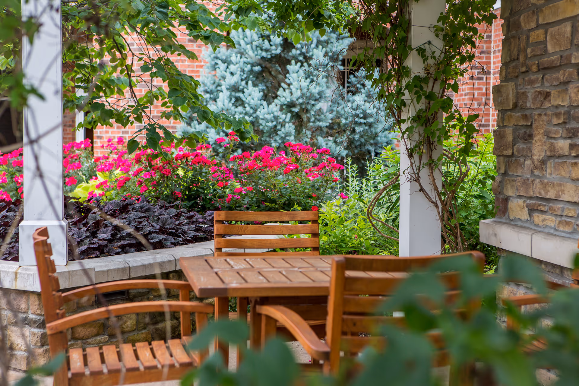 Outdoor seating area with wooden table and chairs surrounded by lush greenery, flowering plants, and a stone wall under a pergola with climbing vines.