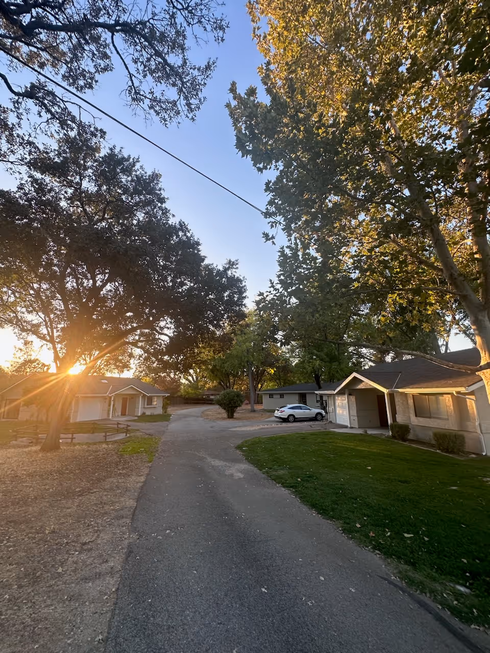 A paved driveway lined with single-story residential buildings on either side, surrounded by large trees with green leaves. The sun is setting, casting a warm golden light through the trees. A white car is parked in front of one of the buildings on the right side.