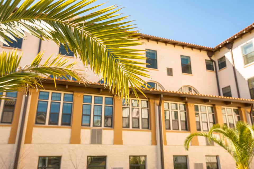 Exterior view of a multi-story building with beige walls and multiple windows, partially obscured by green palm fronds in the foreground under a clear blue sky.
