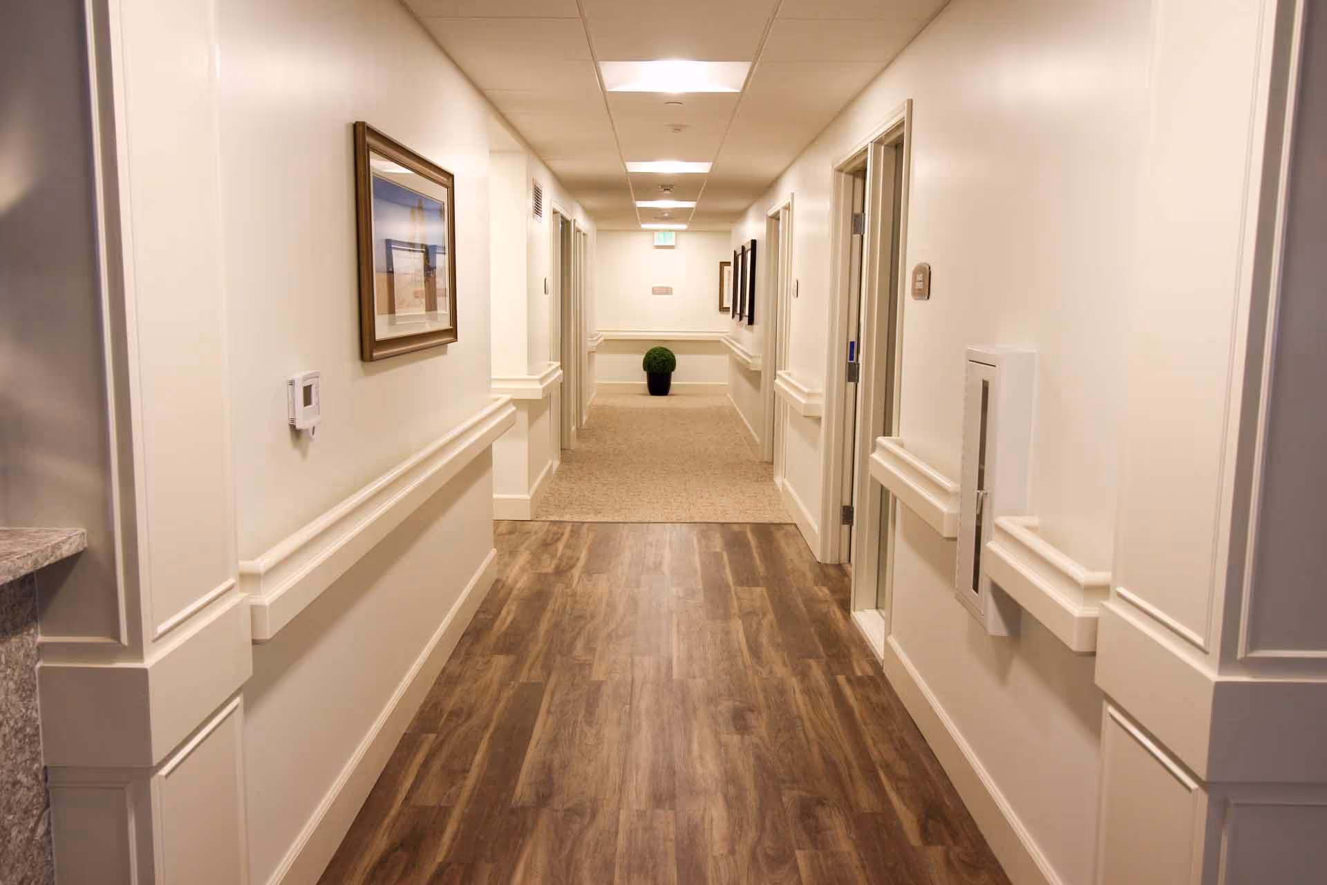 A clean, well-lit hallway in a senior living facility with wood flooring transitioning to carpet, white walls with handrails, framed artwork on the walls, and a potted plant at the end of the corridor.