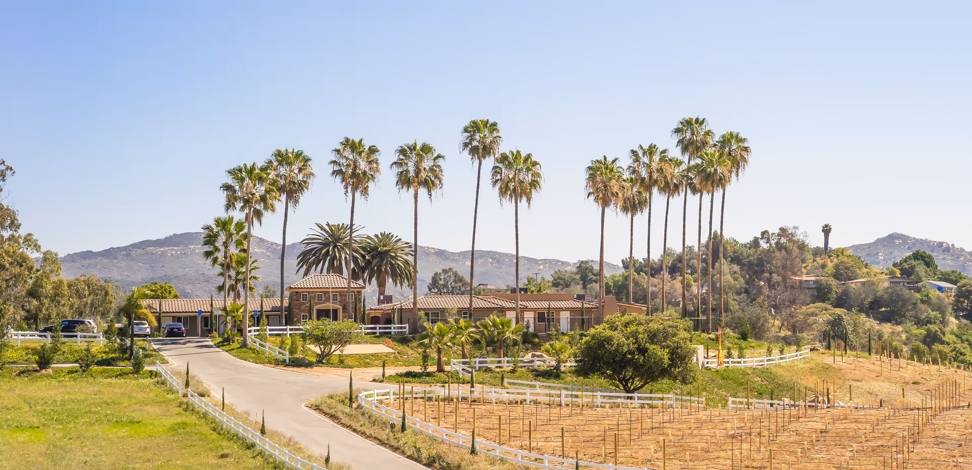 A scenic view of Villa Monticello facility showing a single-story building with a tiled roof surrounded by tall palm trees and lush greenery. There is a paved driveway leading up to the building, white fencing, and a vineyard or garden area in the foreground with hills in the background under a clear blue sky.