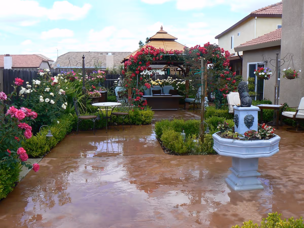 A well-maintained outdoor garden area with a wet concrete patio, surrounded by blooming rose bushes and other plants. There is a white decorative fountain with lion head sculptures in the foreground, and a wooden gazebo with seating in the background. Patio furniture including chairs and tables are arranged around the garden space.