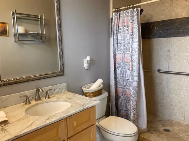 Bathroom with a marble countertop sink, wooden cabinet, large mirror, toilet with a basket holding rolled towels on top, and a walk-in shower with a patterned shower curtain and grab bar.