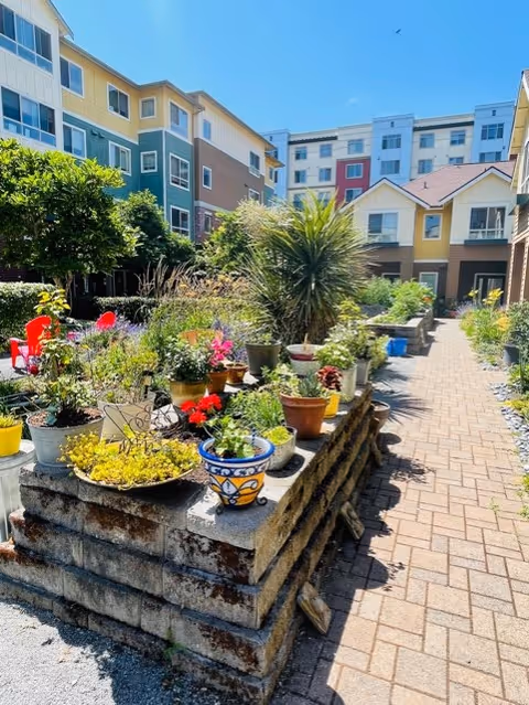 Sunlit courtyard walkway lined with potted plants and raised stone planters in front of colorful multi-story residential buildings.