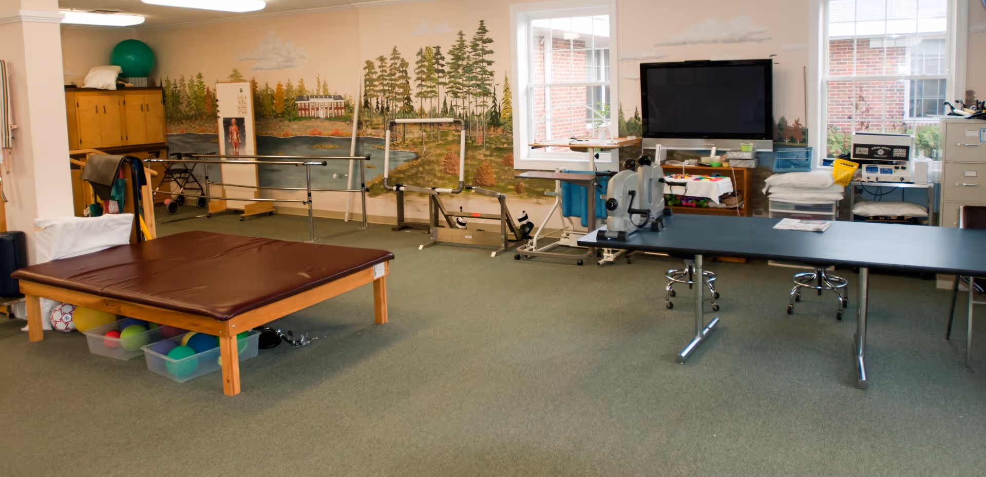 A physical therapy or rehabilitation room with exercise equipment including parallel bars, therapy tables, exercise balls stored under a padded table, and a large TV mounted on the wall. The walls feature a mural of a forest and lake scene, and there are windows letting in natural light.