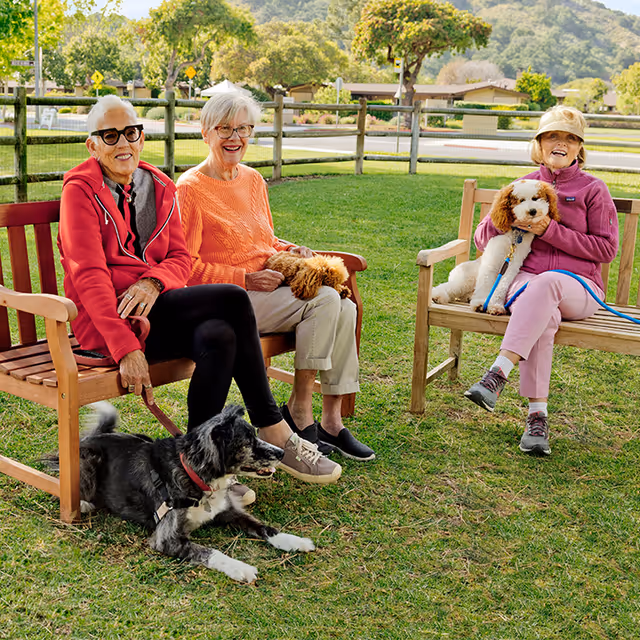 Three elderly women sitting on wooden benches in a grassy outdoor area with trees and a fence in the background. Two of the women are holding small dogs, and another dog is lying on the grass. They are all smiling and appear to be enjoying the sunny day.