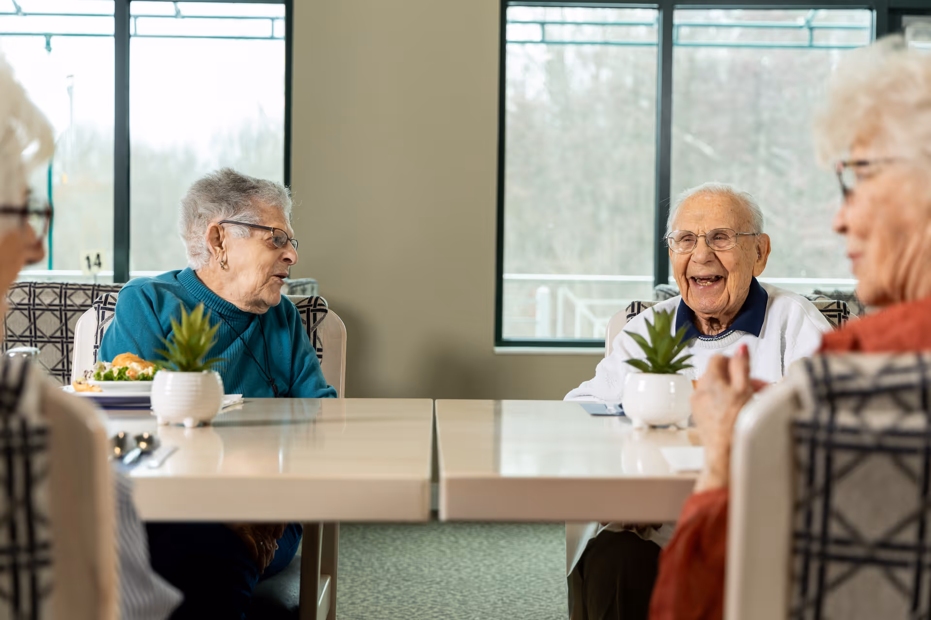 Four elderly individuals sitting around a dining table in a well-lit room with large windows. Two of them are clearly visible, engaged in conversation and smiling, while the other two are partially visible. Small potted plants are placed on the table.