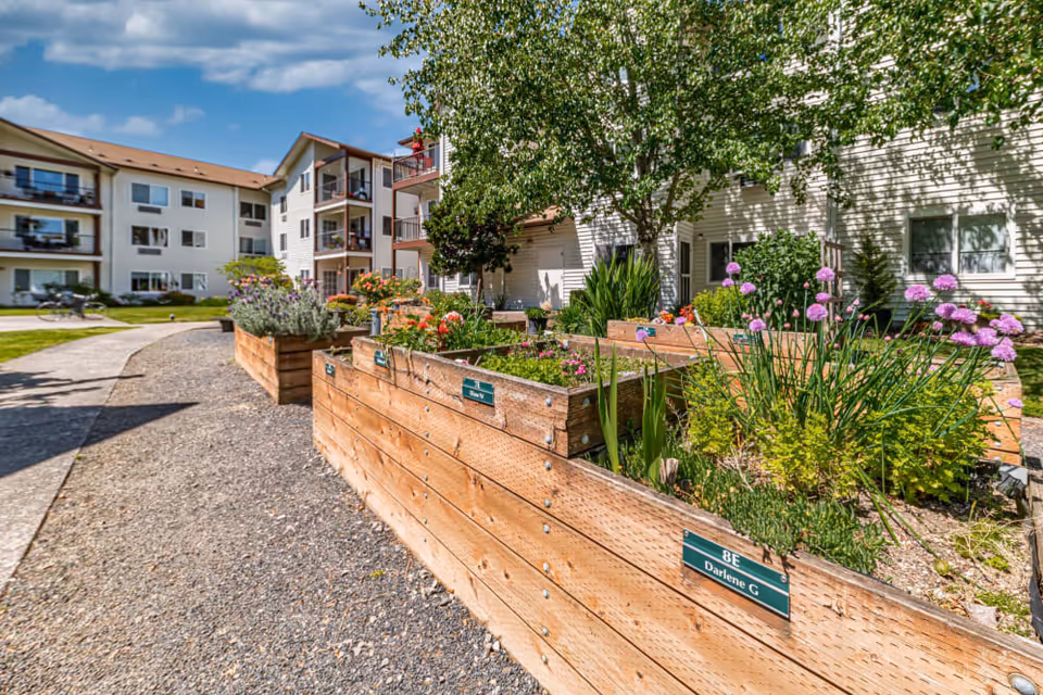 Outdoor garden area with raised wooden planter boxes filled with various plants and flowers, situated along a gravel pathway. In the background, there is a multi-story residential building with balconies and windows under a clear blue sky.