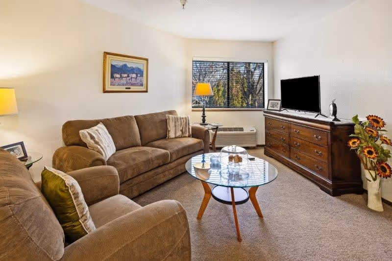 A cozy living room with a brown sofa and armchair, a glass coffee table with decorative items, a wooden dresser with a flat-screen TV on top, a table lamp, a framed picture on the wall, and a window showing trees outside. There is also a vase with sunflowers on the floor next to the dresser.