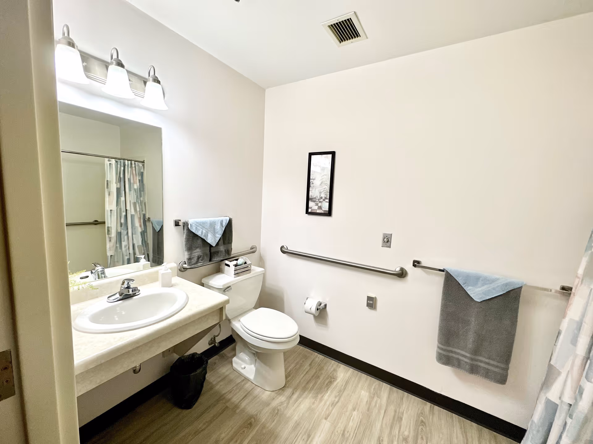 A clean and accessible bathroom with a sink and countertop on the left, a large mirror above the sink, a toilet in the center, and a shower with a patterned curtain on the right. There are grab bars on the walls near the toilet and a towel rack with towels. The floor has light wood-style flooring and the walls are painted white.