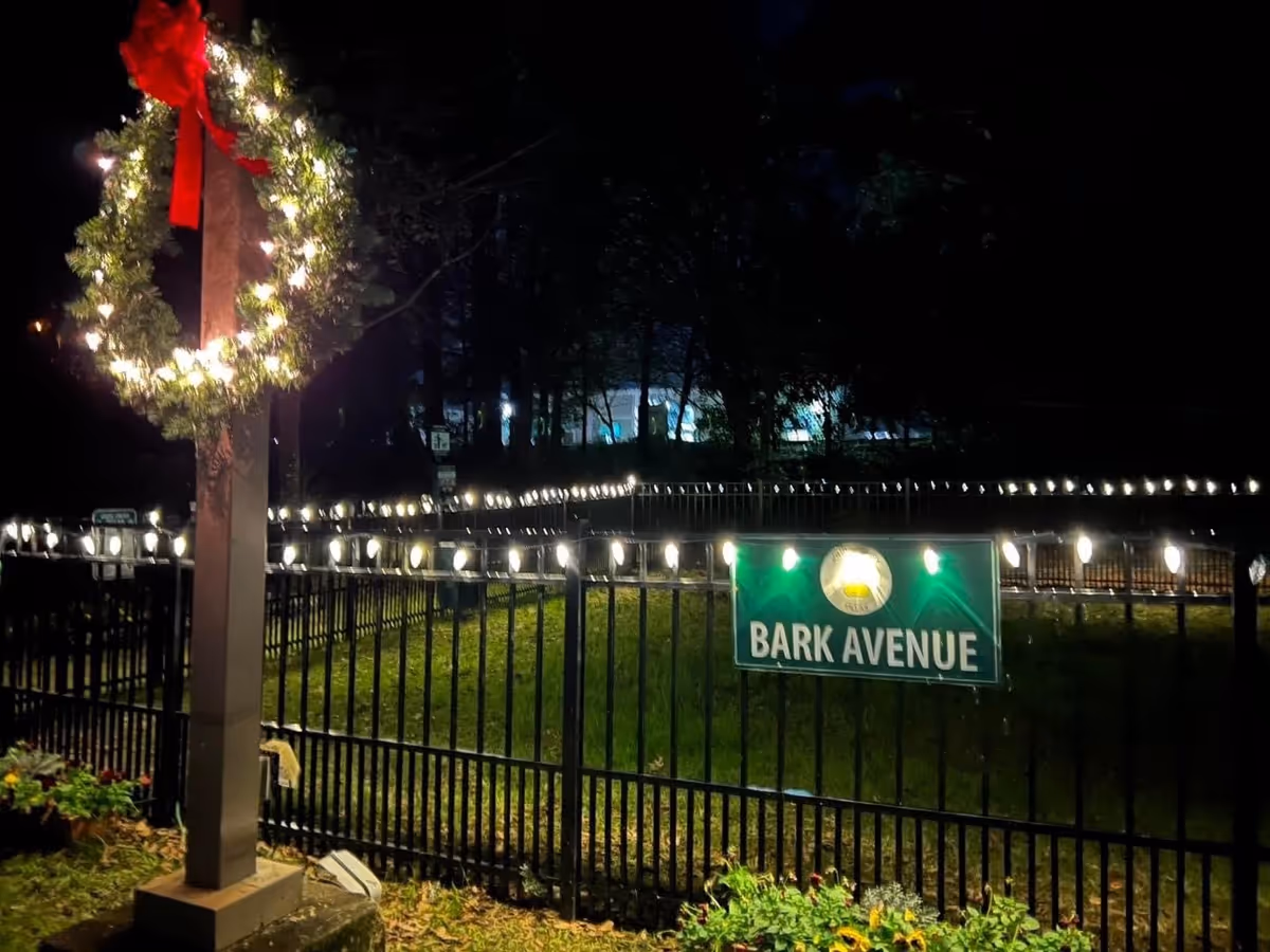 A nighttime outdoor scene showing a black metal fence decorated with white string lights. A green sign on the fence reads 'BARK AVENUE.' A wooden post near the fence is adorned with a lit Christmas wreath with a red bow. There are some plants and flowers near the base of the post.