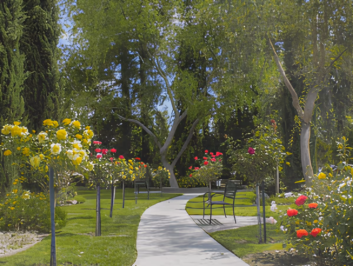 A winding concrete pathway through a garden with green grass, colorful rose bushes with yellow, red, and pink flowers, and several benches along the path. Tall trees with green foliage surround the garden under a clear blue sky.