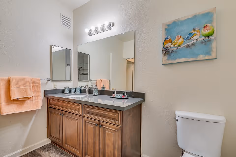 A bathroom with a wooden vanity featuring a gray countertop and a sink. Above the vanity is a large mirror with a light fixture containing four bulbs. To the left, there are peach-colored towels hanging on a towel rack. On the right side, there is a white toilet and a colorful painting of birds on a branch hanging on the wall.