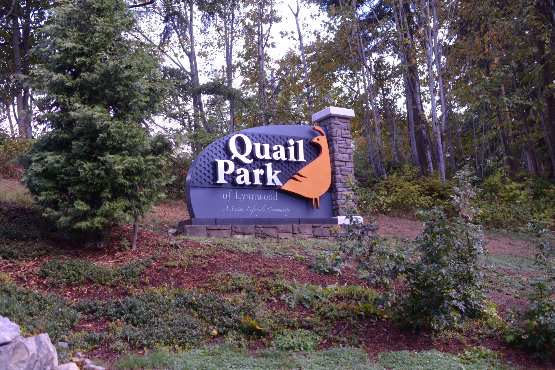 Outdoor view of a large sign for Quail Park of Lynnwood, a senior lifestyle community, surrounded by trees and greenery on a landscaped hillside.
