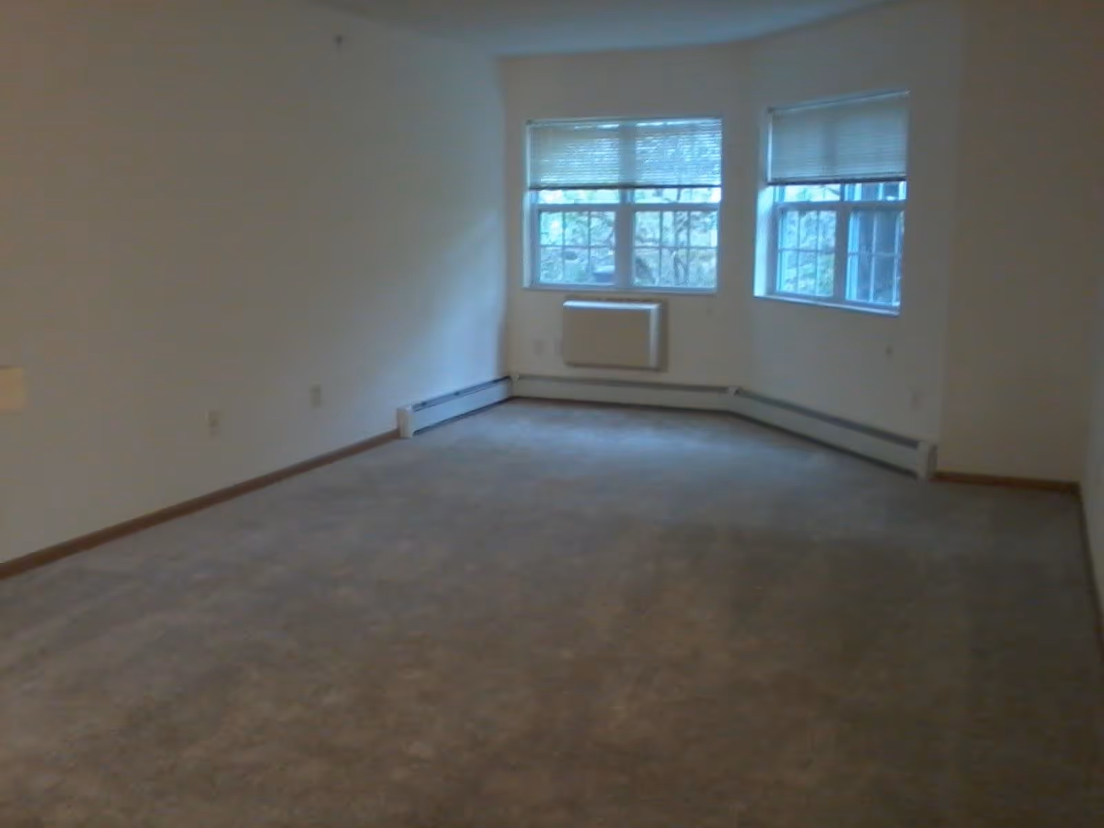 Empty room with beige carpet, white walls, two windows with blinds partially open, and a wall-mounted heater below the windows.