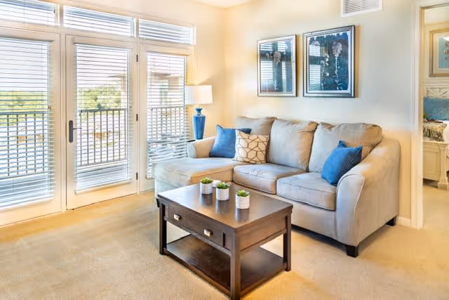 A bright living room with a beige sofa adorned with blue and patterned throw pillows, a dark wooden coffee table with three small potted plants, a blue table lamp on a side table, two framed artworks on the wall, and large windows with white blinds letting in natural light.