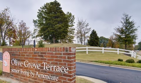 Brick sign for Olive Grove Terrace senior living by Americare with a curved road, grassy area, and trees in the background under a cloudy sky.