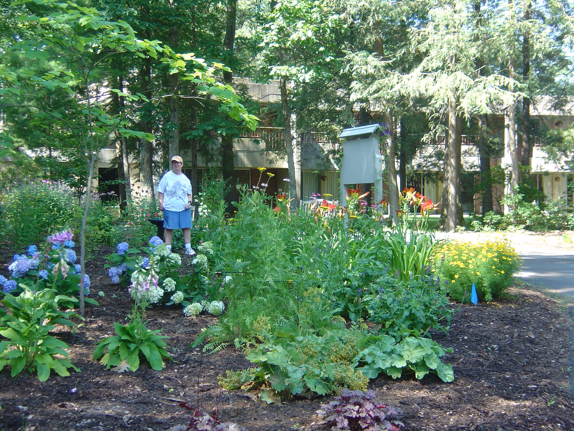 A person standing in a lush garden with various colorful flowers and green plants. Behind the garden, there are tall trees and a building partially visible in the background.