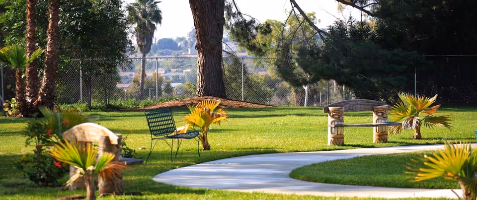 Outdoor garden area with a curved paved path, benches and chairs on a grassy lawn surrounded by palm trees and a chain-link fence.