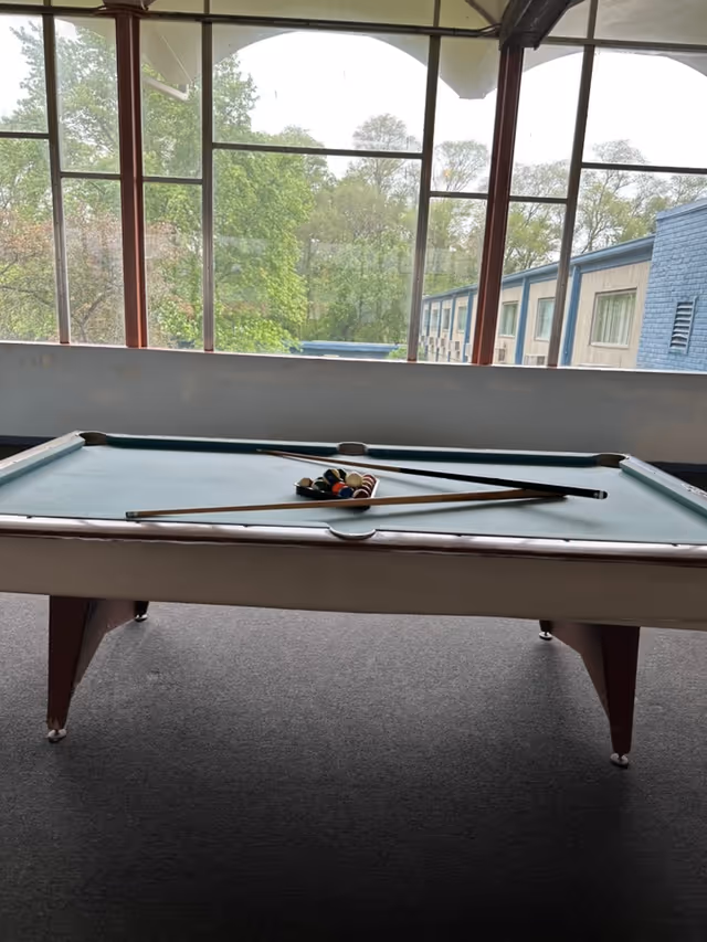 A pool table with billiard balls arranged in a triangle and two pool cues resting on the table. The table is situated indoors near large windows that show green trees and part of a building outside.