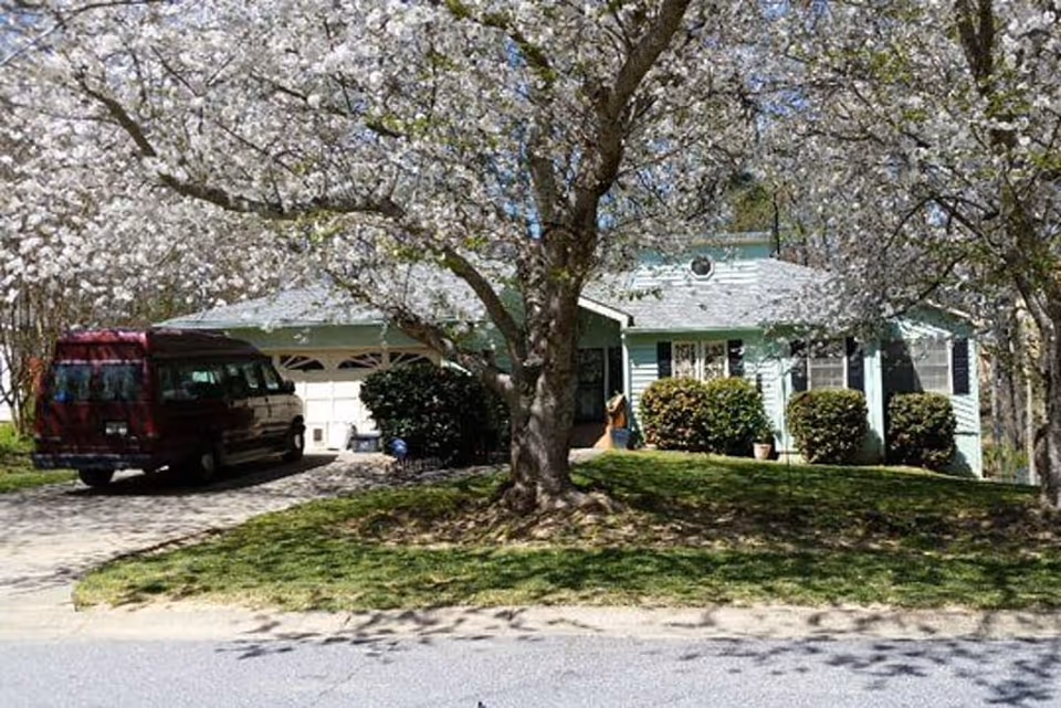 A single-story house with a light green exterior partially obscured by a large tree with white blossoms in the front yard. There is a driveway with a maroon van parked on it, and bushes line the front of the house.