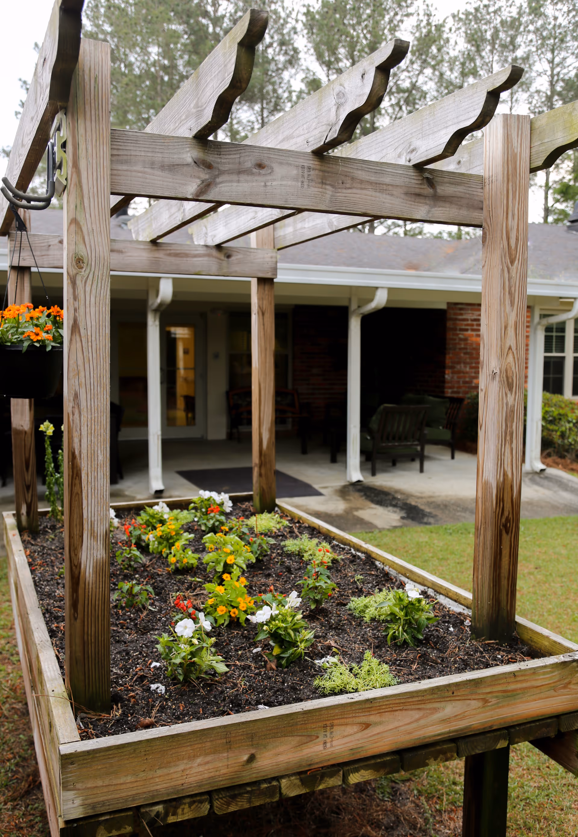Raised wooden garden bed with various blooming flowers under a wooden pergola structure, situated outdoors near a building with a covered patio and outdoor seating.