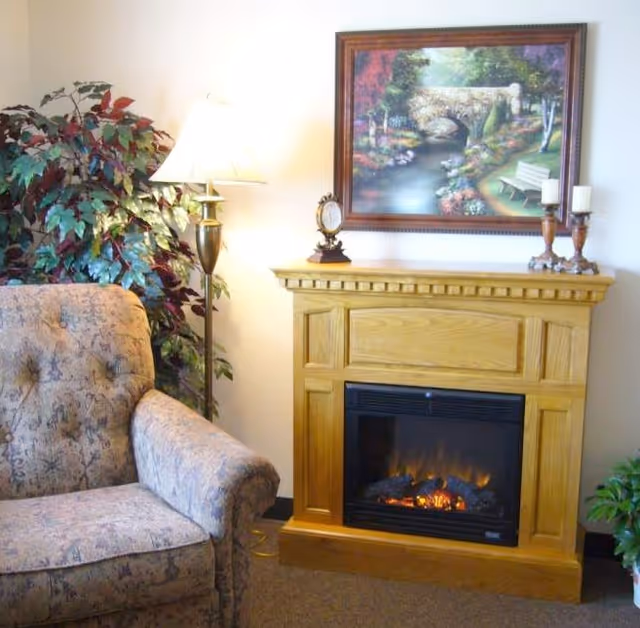 Cozy living room corner with a floral patterned armchair, a wooden electric fireplace with a lit fire, a standing lamp, a large leafy plant, and a framed painting of a stone bridge over a stream with trees and a bench.