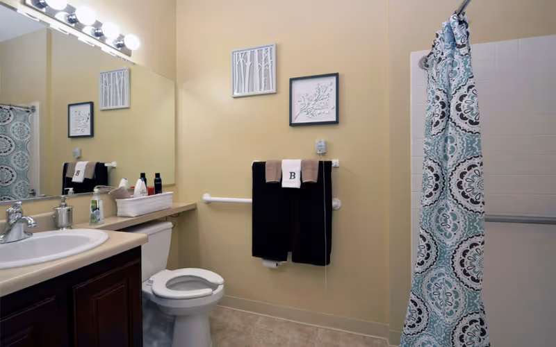 A clean bathroom with a white toilet, beige countertop with a sink, and a large mirror above the sink. There are toiletries on the counter and a basket with additional items. A towel rack on the wall holds two black towels and a white towel with the letter 'B'. The shower area has a patterned blue, white, and brown shower curtain. The walls are painted light beige and there are two framed decorative artworks hanging above the towel rack.