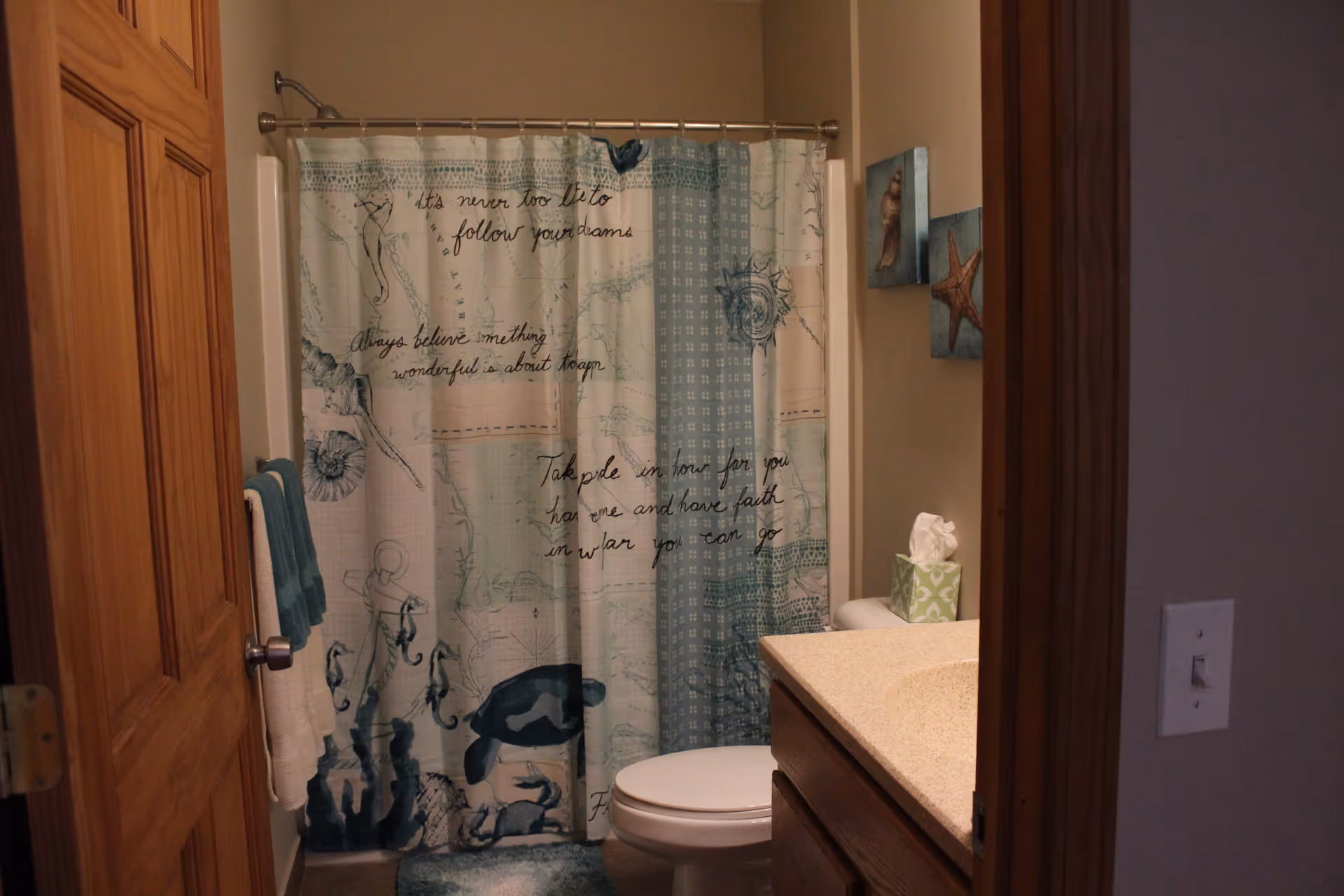 Small bathroom with a patterned shower curtain, toilet, countertop sink with a tissue box, and towels hanging by a wooden door.