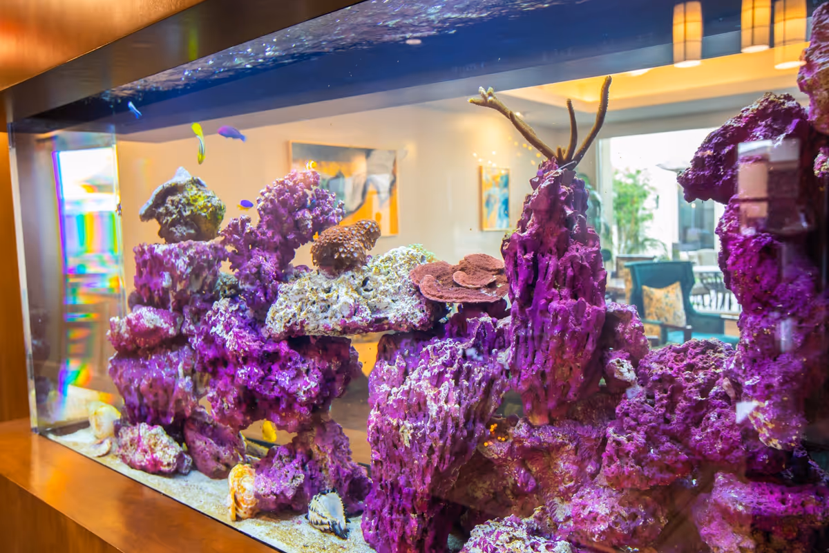 A large aquarium filled with vibrant purple coral and various small colorful fish. The aquarium is set within a wooden frame, and in the background, a bright and cozy room with chairs, artwork on the walls, and large windows is visible.