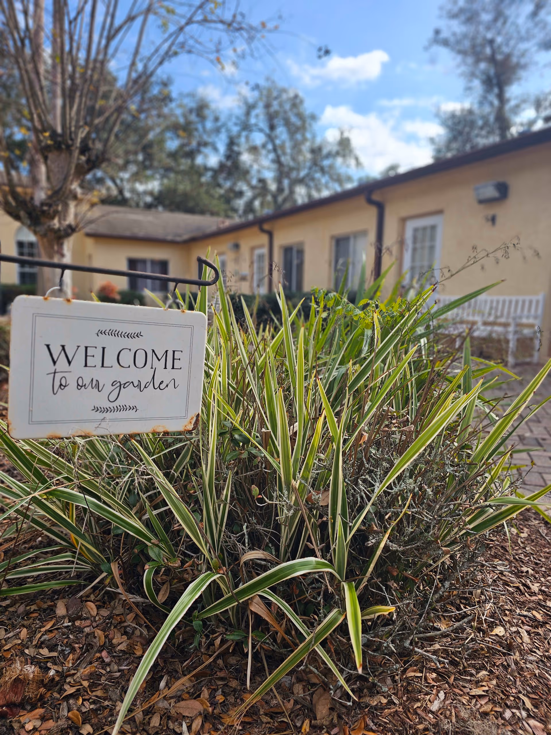 A garden area with green and white variegated plants in the foreground and a small sign that reads 'WELCOME to our garden'. In the background, there is a beige building with several windows and a white bench outside. The sky is blue with some clouds and there are leafless trees visible.
