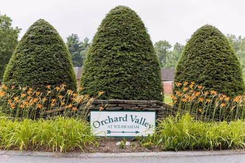 Well manicured evergreen trees frame an Orchard Valley entrance sign amid ornamental grasses.