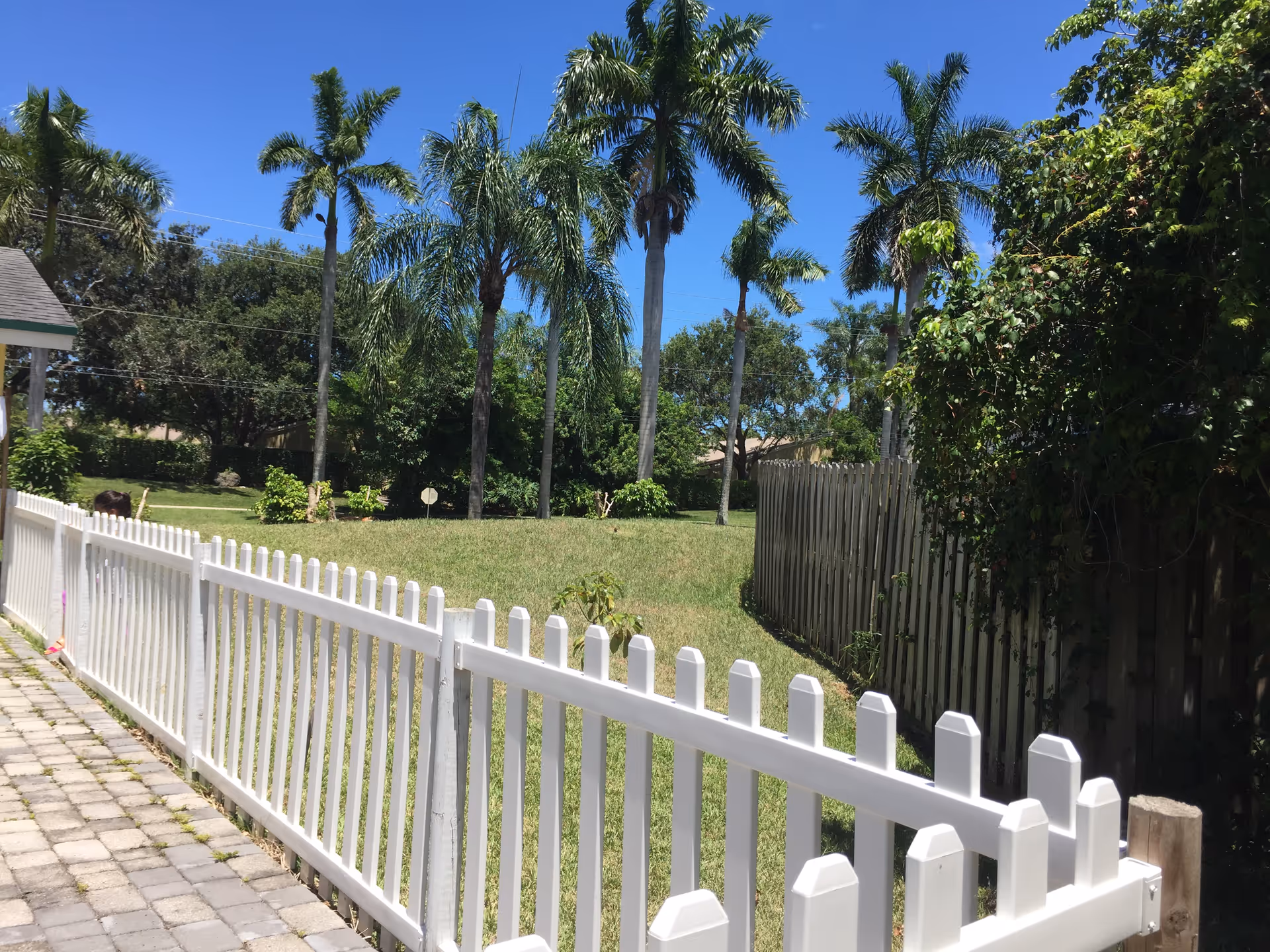 A sunny outdoor scene featuring a white picket fence along a paved walkway, green grass, several tall palm trees, and dense greenery under a clear blue sky.