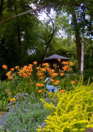 A lush garden area with vibrant orange flowers, yellow-green shrubs, and a decorative blue heron statue. In the background, there is a small gazebo surrounded by tall trees.