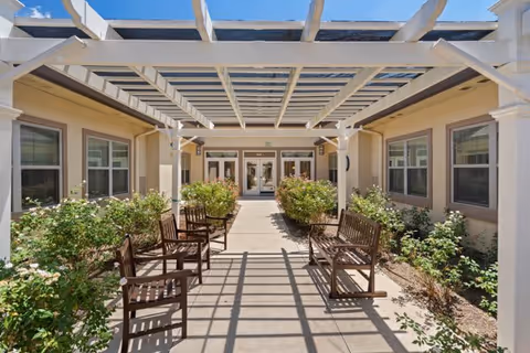 Outdoor seating area with wooden benches under a white pergola, surrounded by green bushes and plants, leading to the entrance of a building with glass doors and windows.
