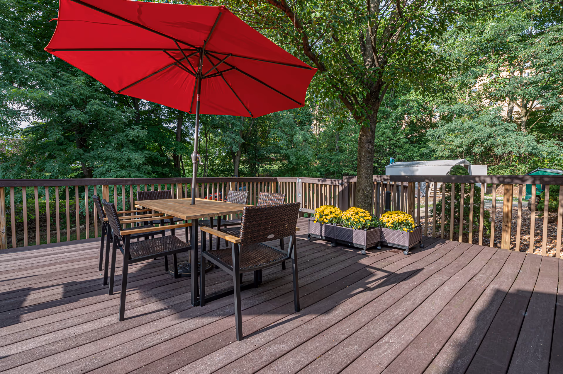Outdoor wooden deck with a table and four chairs under a large red umbrella. There are three planters with yellow flowers near a tree, and green trees and shrubs surround the area.