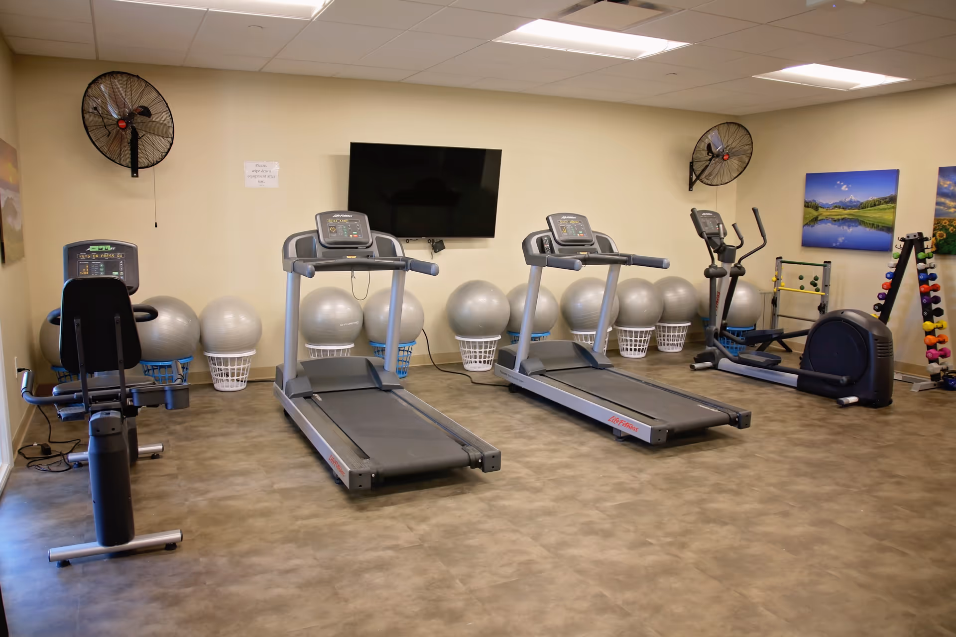 A fitness room with exercise equipment including two treadmills, a recumbent bike, an elliptical machine, several exercise balls in baskets, a rack of colorful dumbbells, and a wall-mounted TV. The room has beige walls, two wall fans, and landscape paintings on the walls.