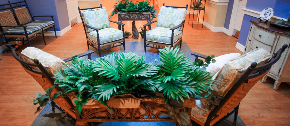 Cozy seating area with wicker chairs arranged around a planter of green foliage on a hardwood floor in a common room.
